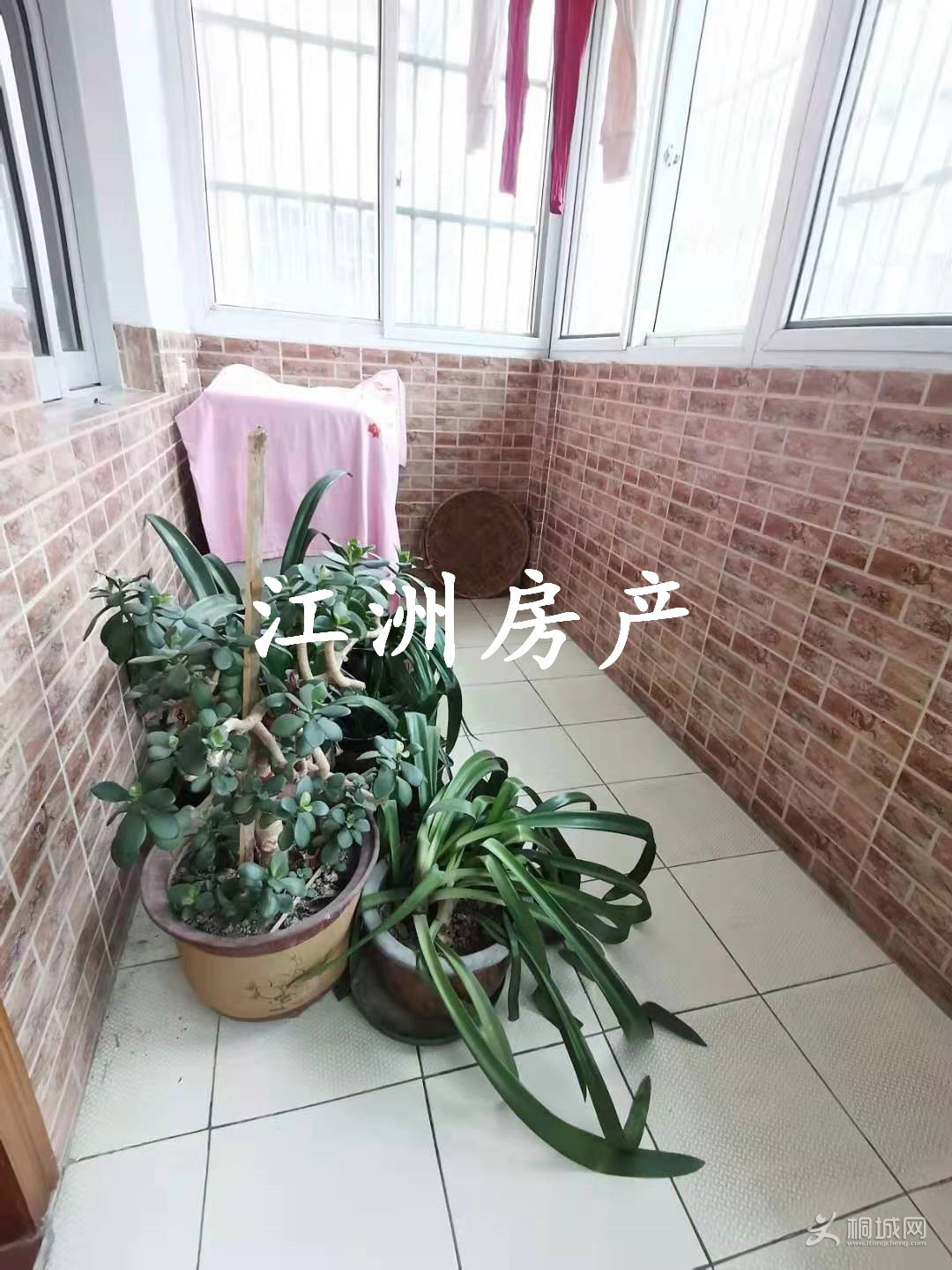 ΢ͼƬ_202101051445521.jpg