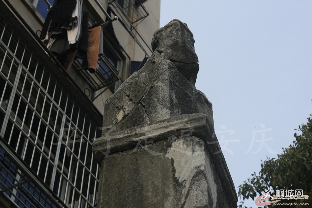 115731m1225ssjzhdsiptw.jpg