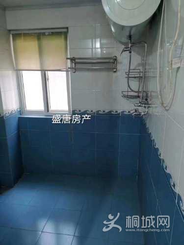 mmexport1610418945158.jpg
