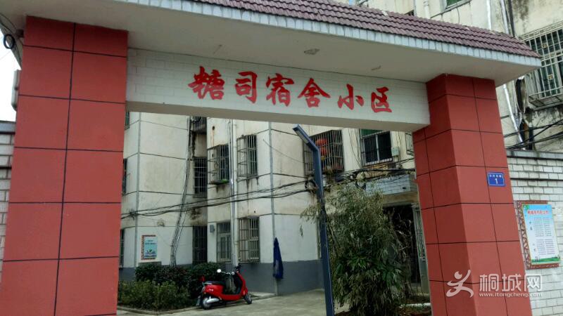 IMG20210126140824.jpeg