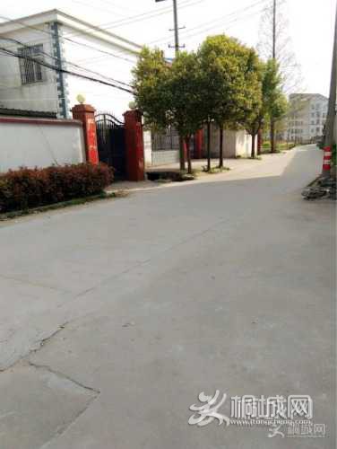 IMG1581007308964.jpeg