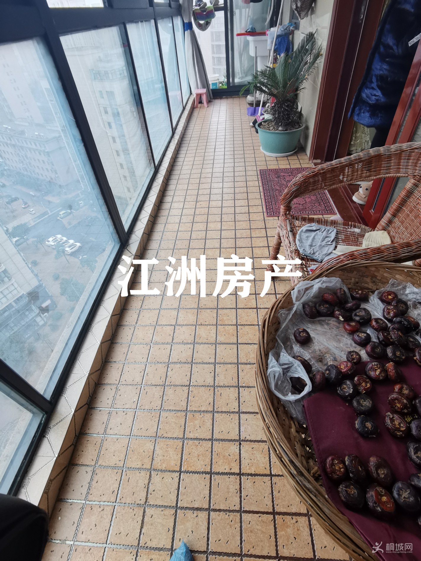 IMG_20210127_160750.jpg