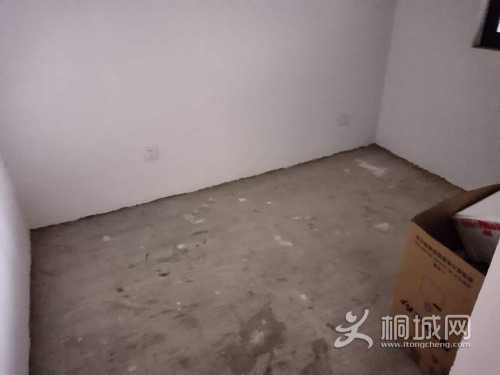 mmexport1611890889565.jpg