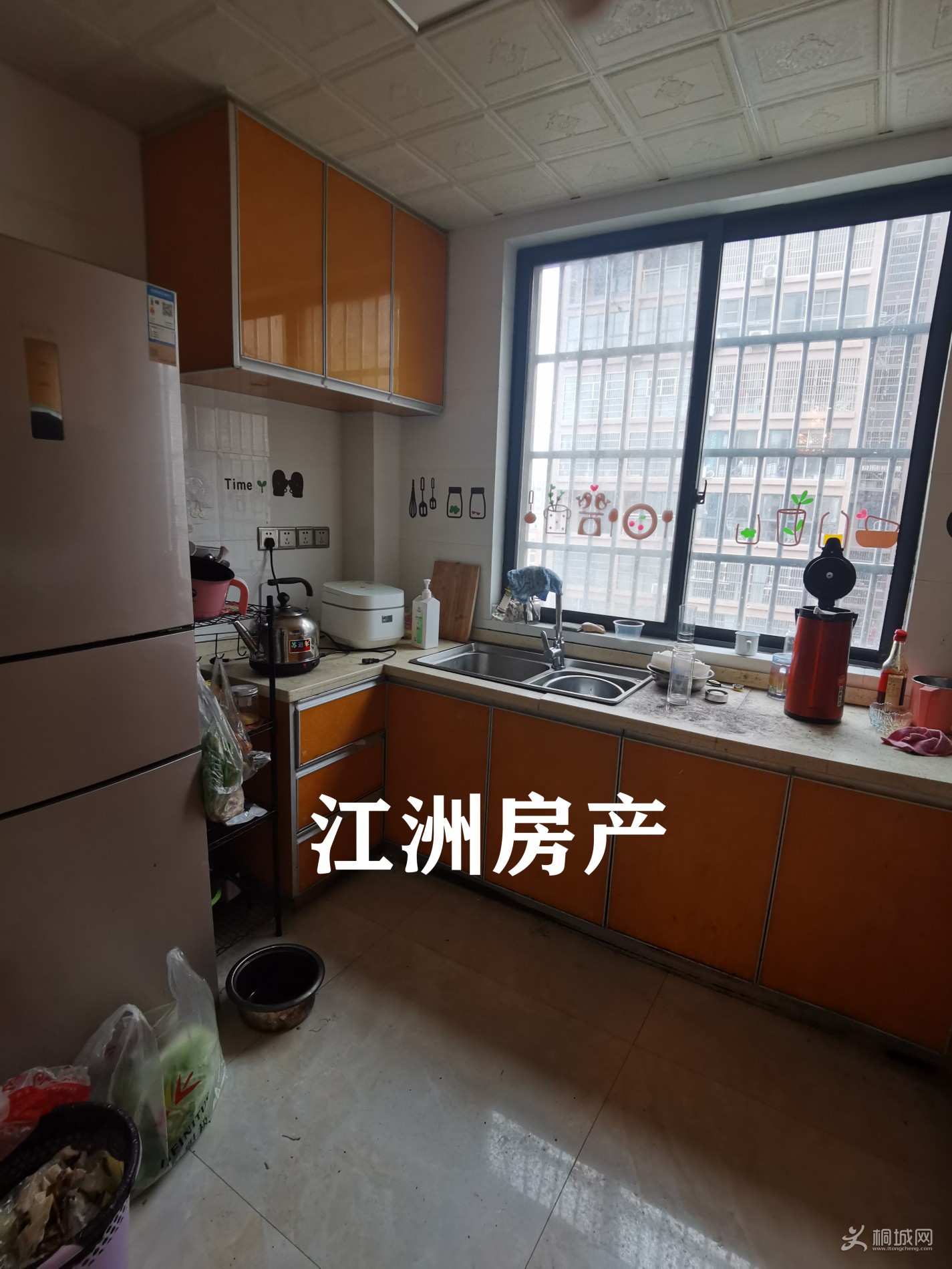 IMG_20210206_102010.jpg