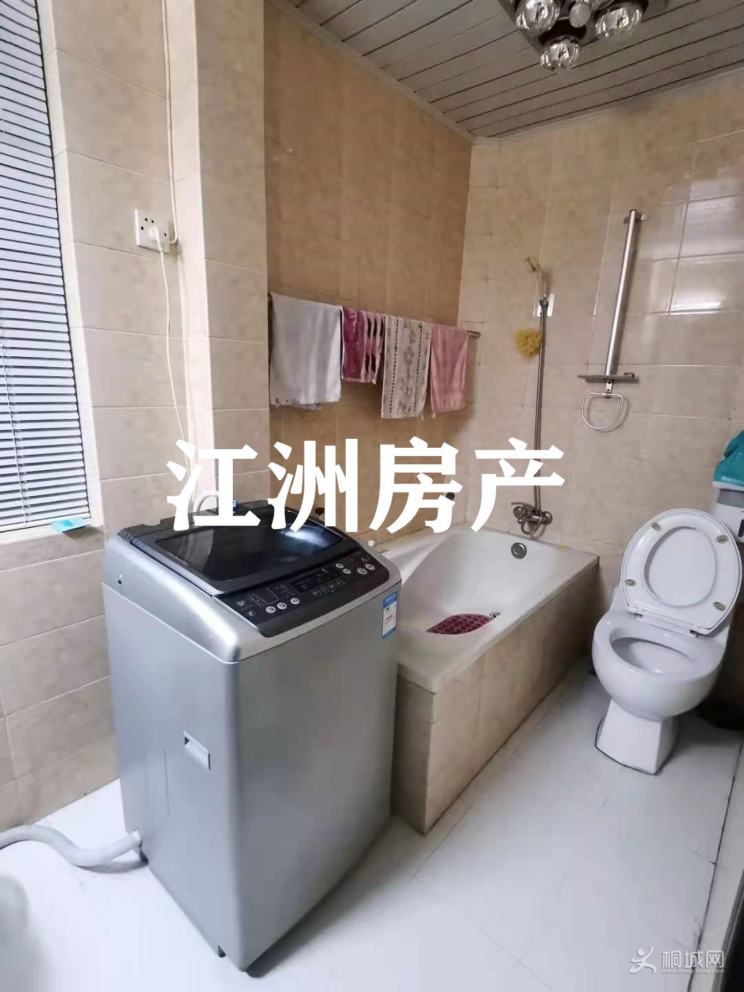 mmexport1612793195343.jpg