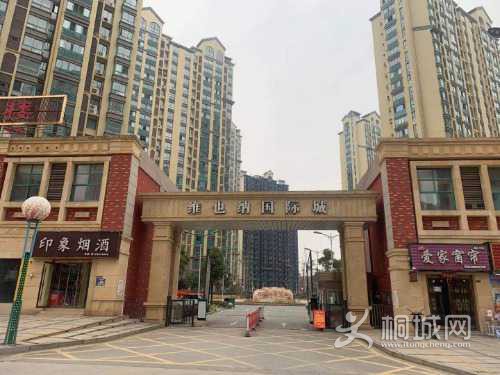 mmexport1613698471583.jpg