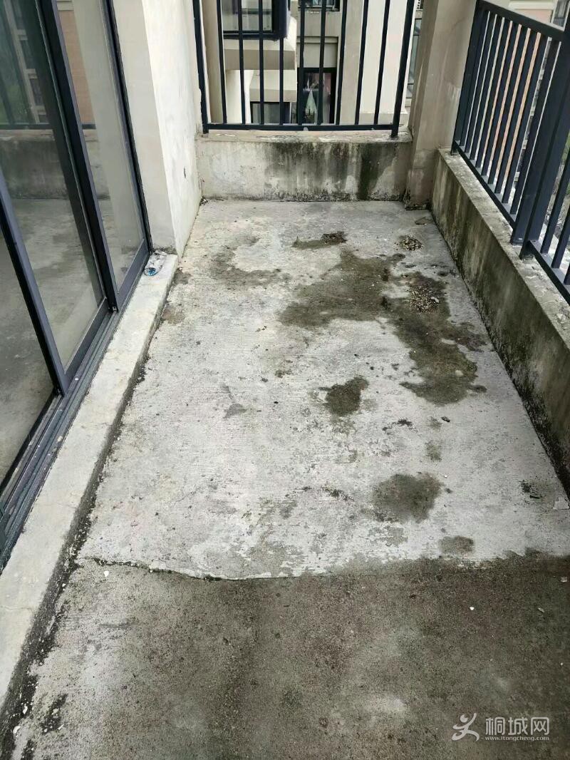mmexport1615559868630.jpeg