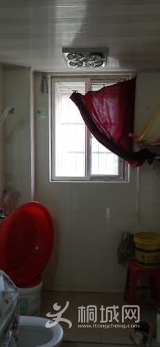 mmexport1616373241264.jpg