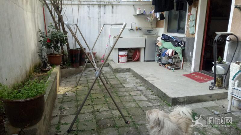 IMG20210324153435.jpeg