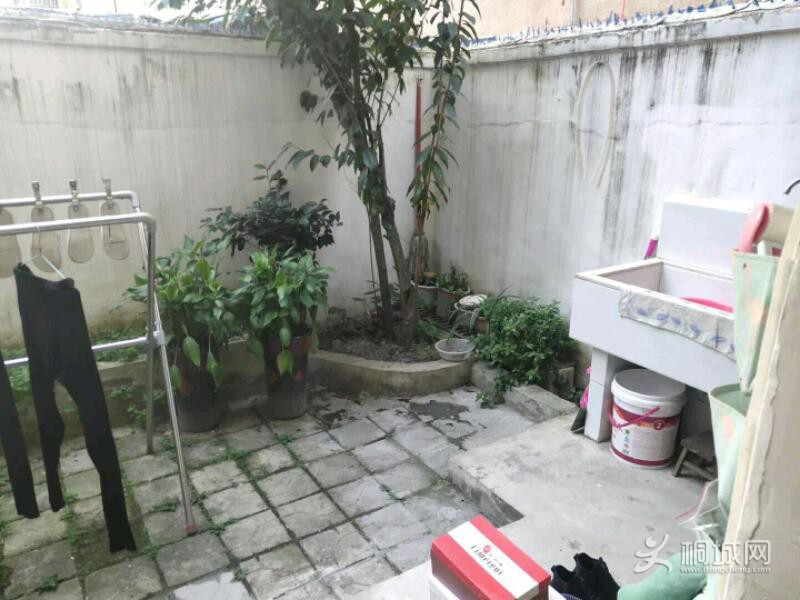 mmexport1616573074613.jpeg