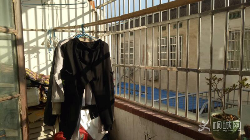 IMG20210304161912.jpeg