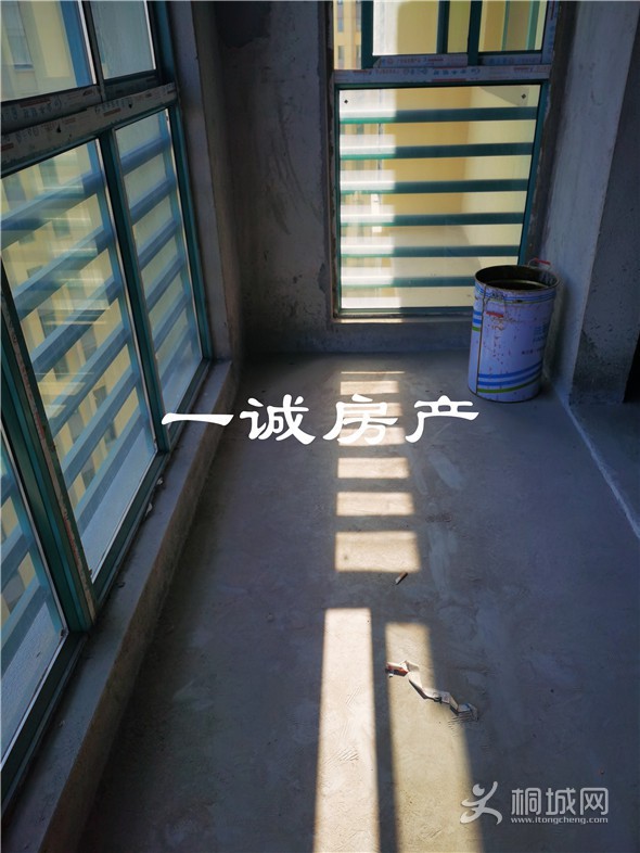 IMG_20210404_154746.jpg