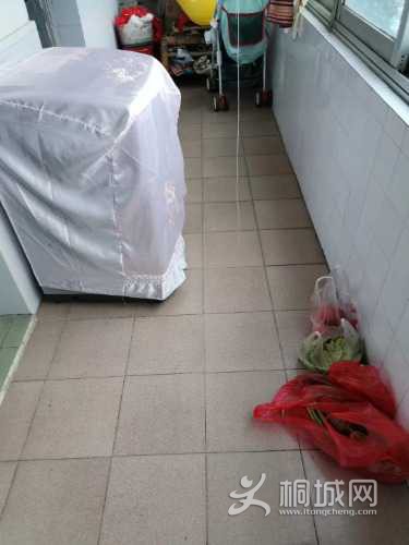 mmexport1617591315660.jpg
