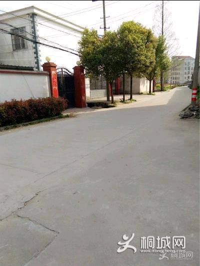 IMG1581007308964.jpeg