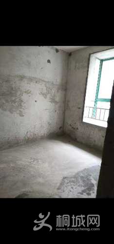 mmexport1618883350321.jpg