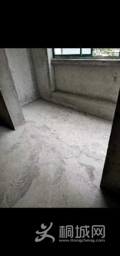 mmexport1618883352494.jpg