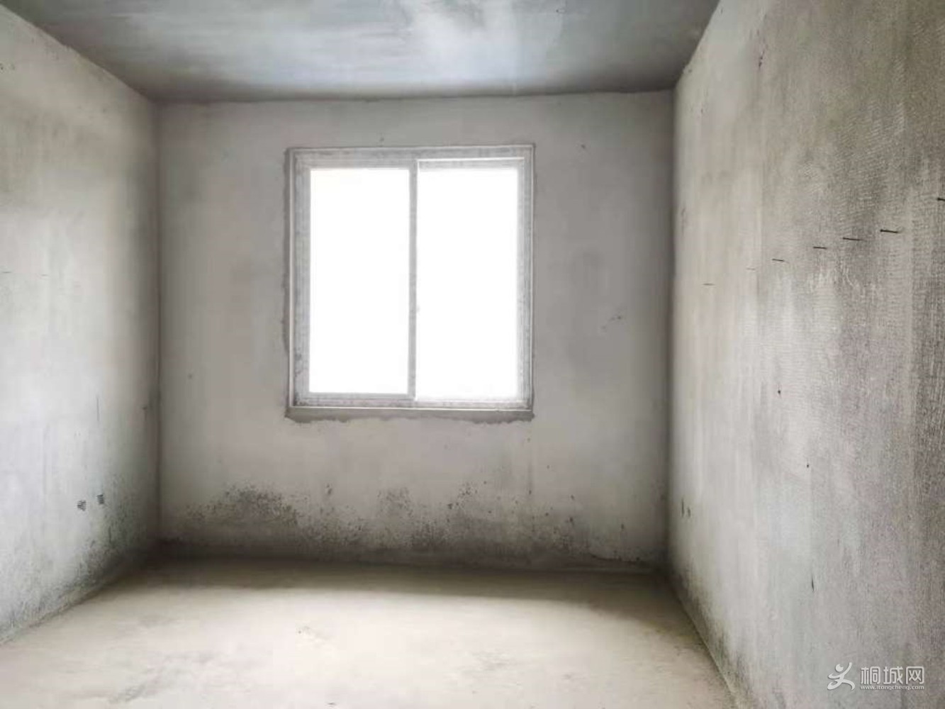 ͼ_ޱǩ(4).jpg