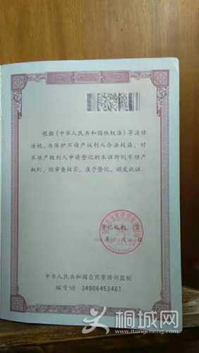 mmexport1621145544073.jpg
