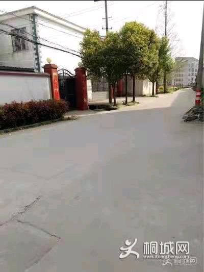 mmexport1619995934399.jpeg