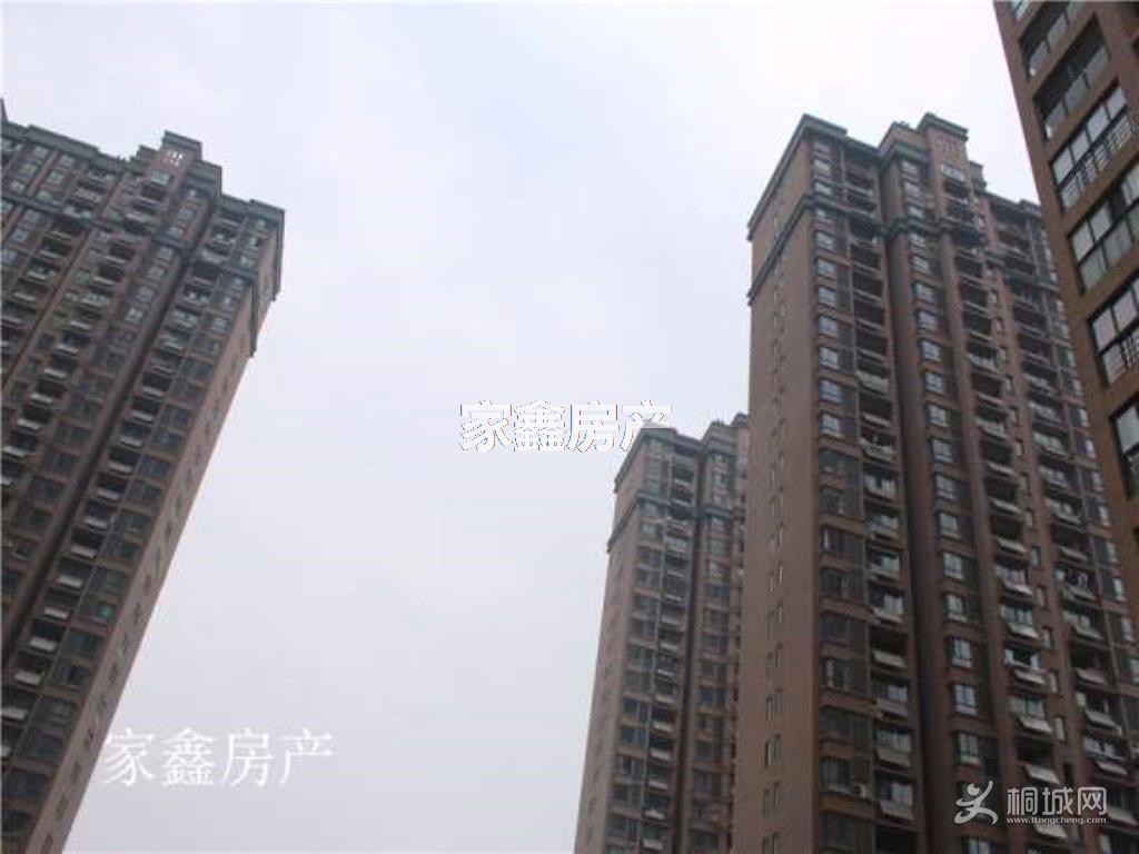ͼ_ޱǩ.jpg