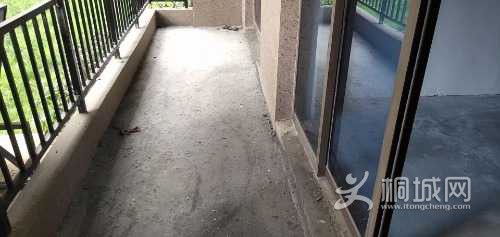 mmexport1625188462469.jpg