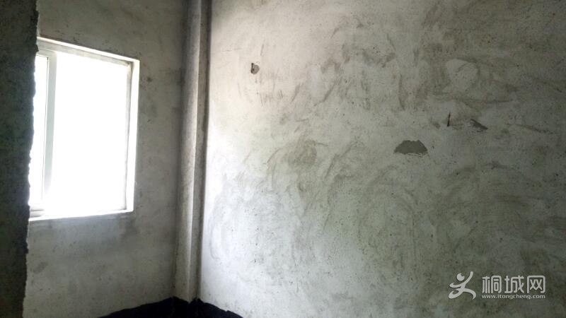 IMG20210715102547.jpeg