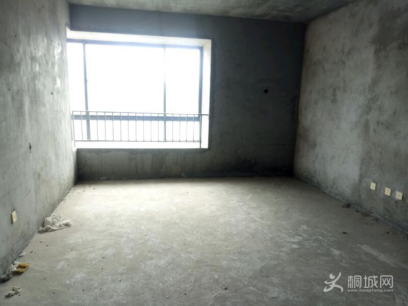IMG20210728154927.jpeg