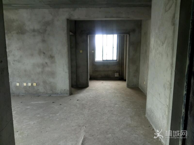 IMG20210728155253.jpeg