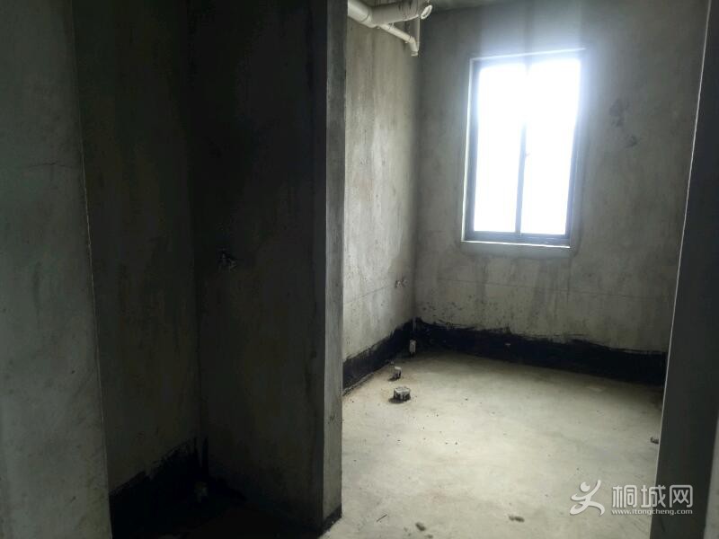 IMG20210728155234.jpeg