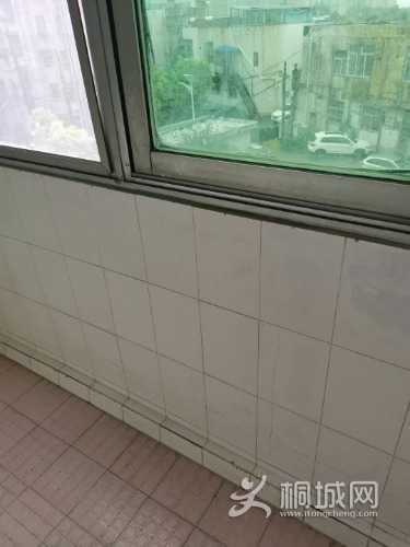 mmexport1627610218421.jpg