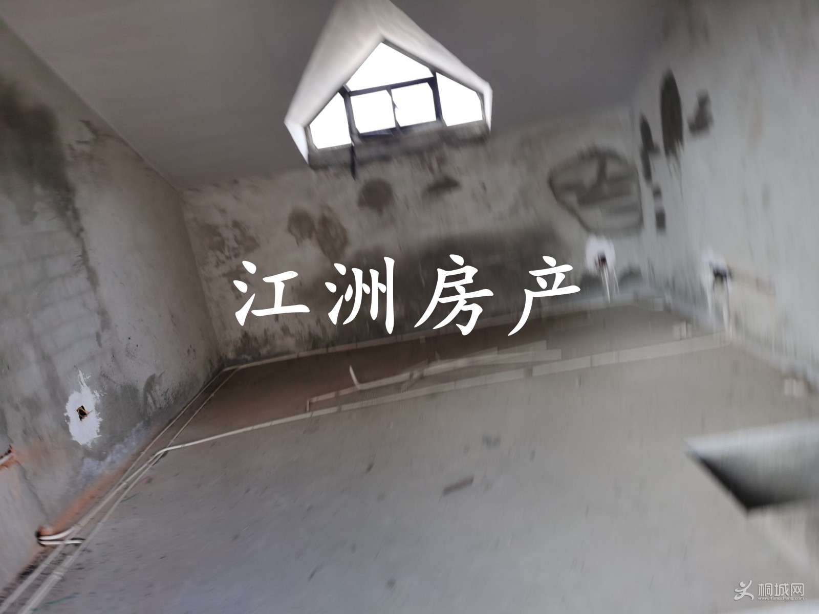 20210805-08-37-28.jpg
