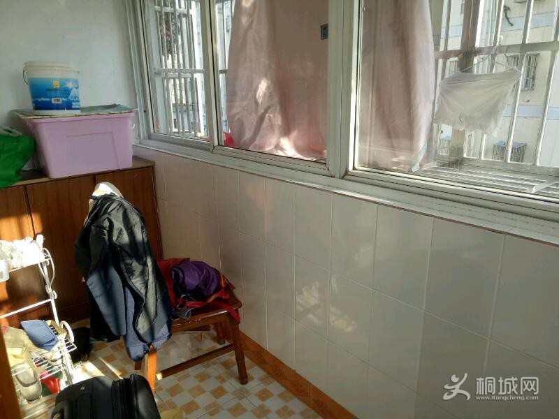 IMG20210806165732.jpeg