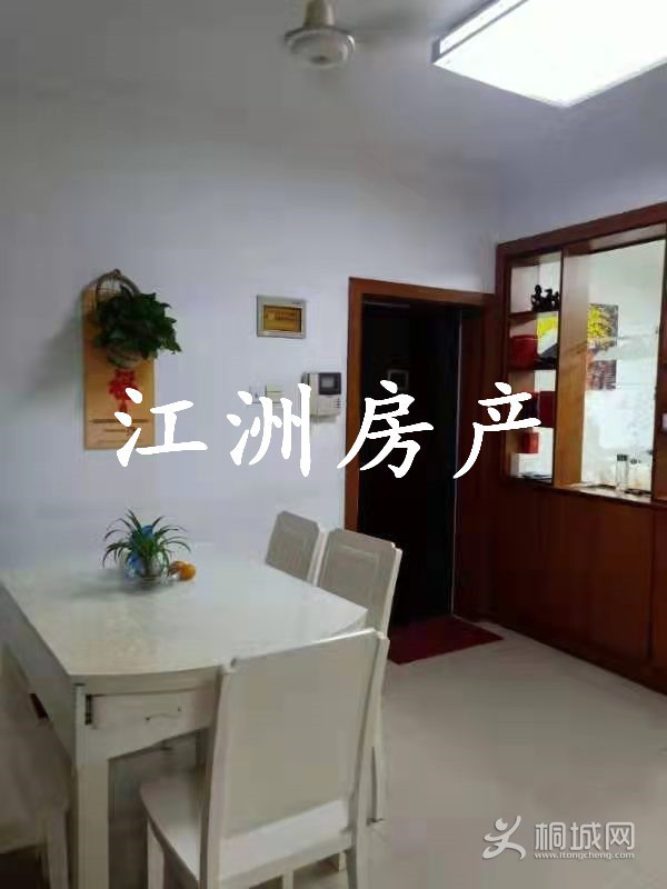 mmexport1629538786581.jpg