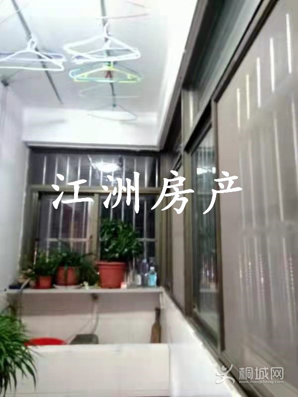 mmexport1629538793922.jpg