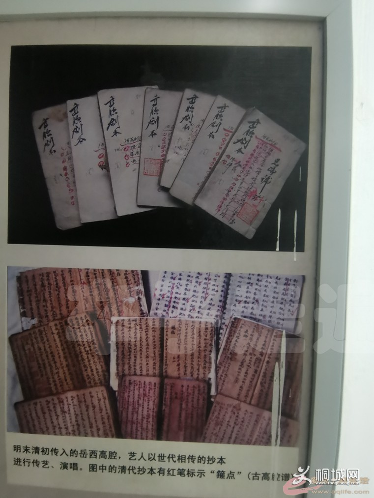 194545gpafalka1apnsluk.jpg