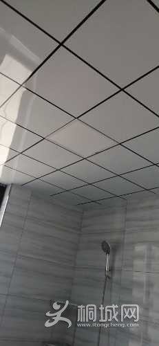 wx_camera_1629856216041.jpg