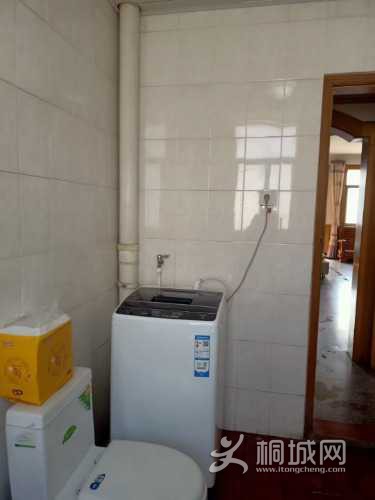 mmexport1635997042718.jpg