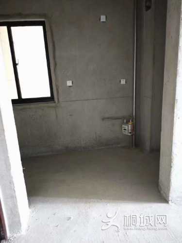mmexport1636077947742.jpg