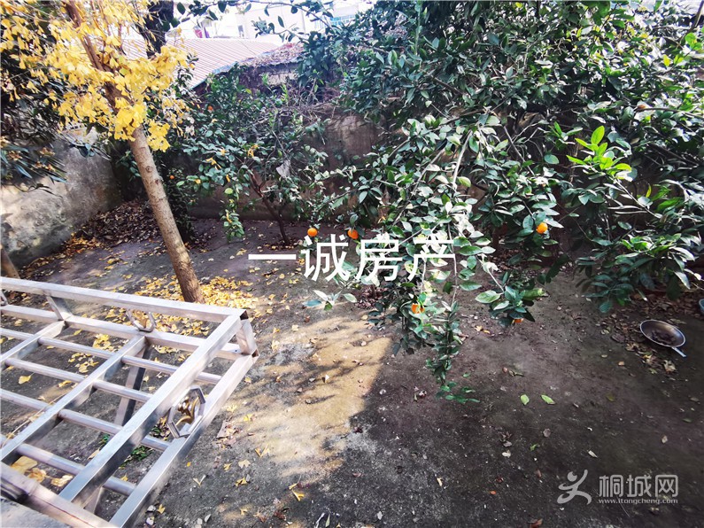 IMG_20211208_143647.jpg