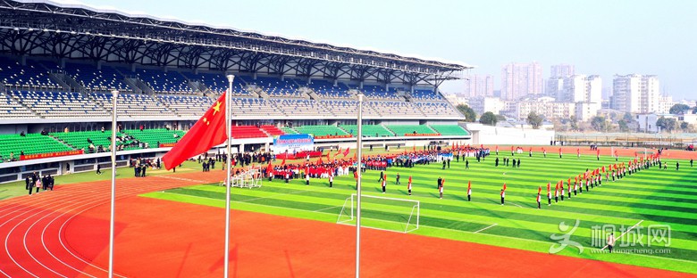 519.jpg