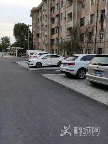 mmexport1645356582793.jpg