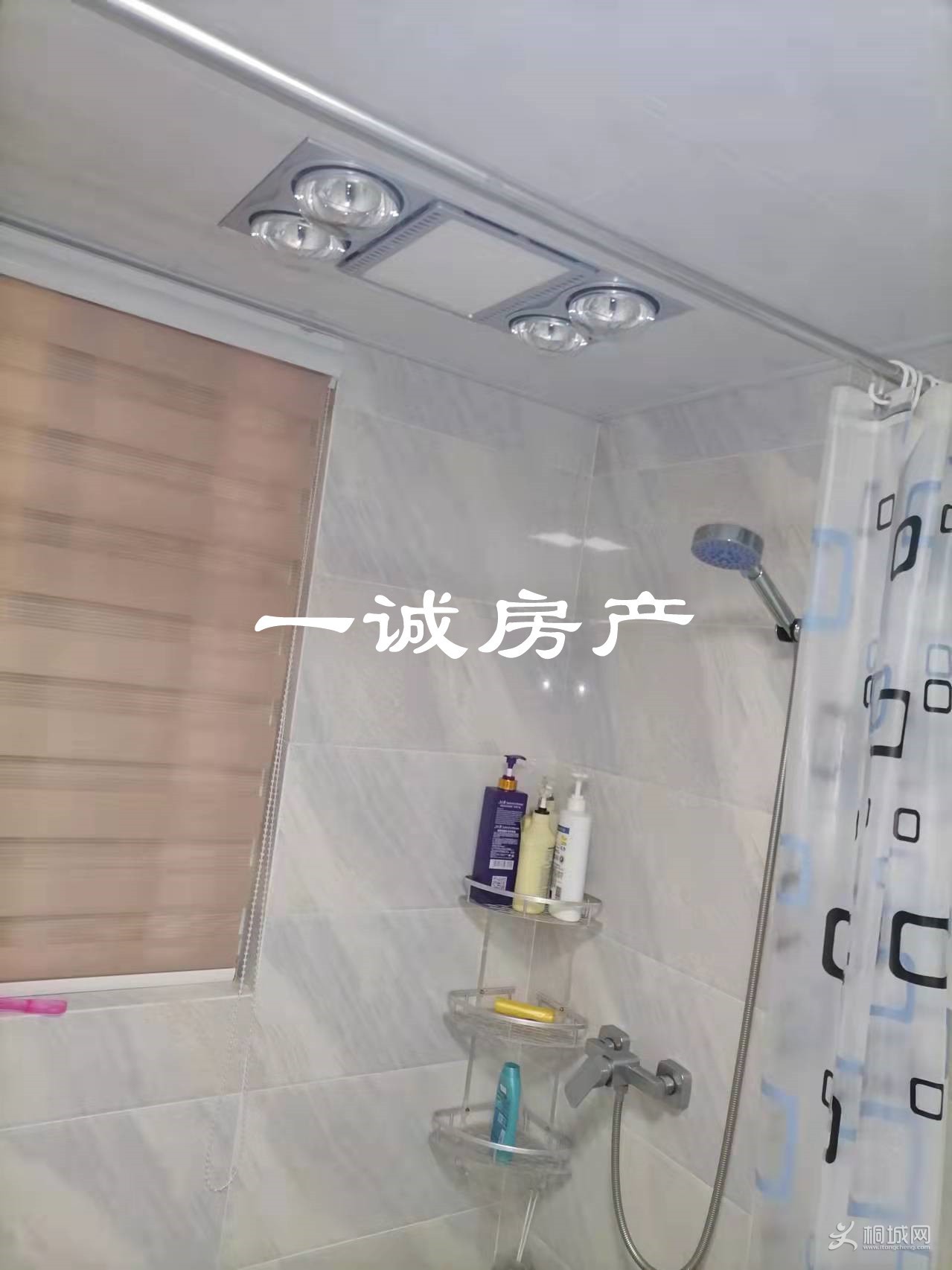 mmexport1647522188001.jpg