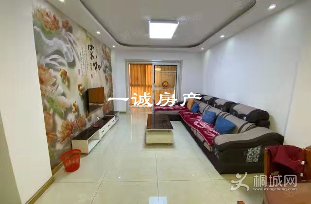 mmexport1647522193879.jpg