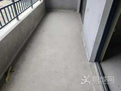 mmexport1648626146702.jpg