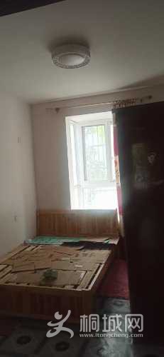 mmexport1649066652774.jpg
