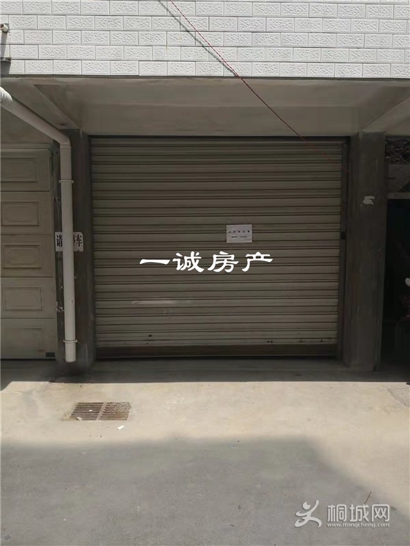 mmexport1649812592238.jpg