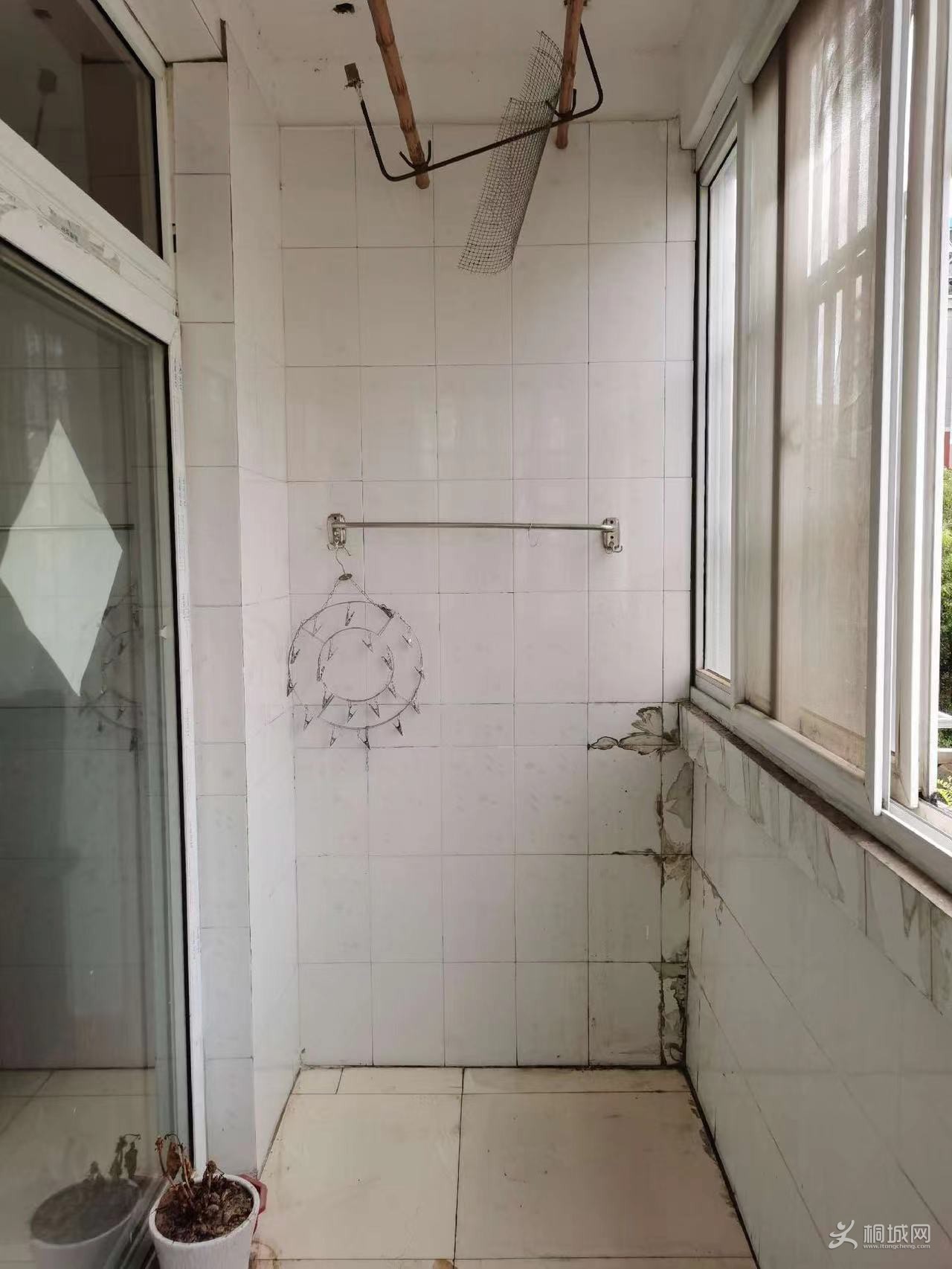 ͼ_ޱǩ(2).jpg