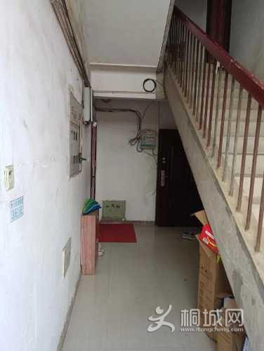 mmexport1661215474803.jpg