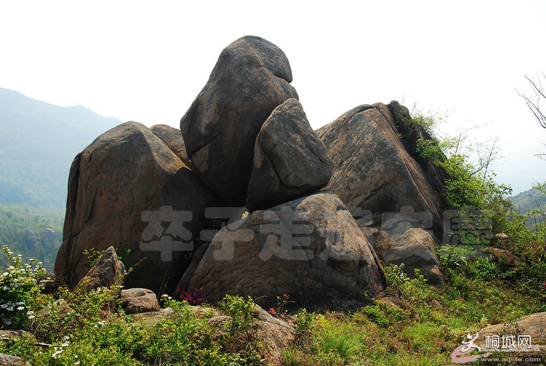 173359m0mjkvmmiiwbvdfm.jpg