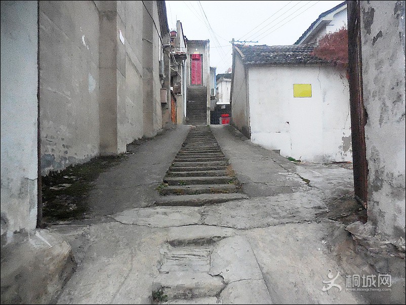 DSCN0098.jpg